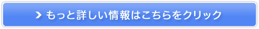 ґ̂т񐬒TvyXXO~z̔TCg
